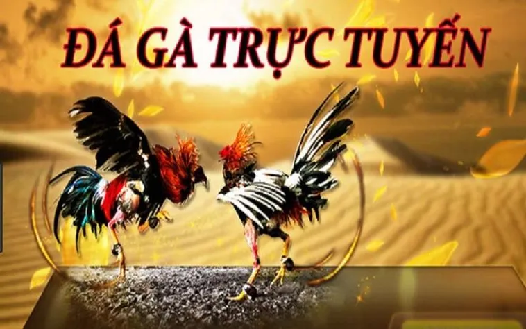 Đá Gà MU88: Trải Nghiệm Giải Trí Hấp Dẫn Nhất 2025