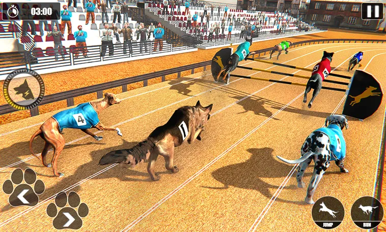 Cách Chơi Game Nhanh Đua Chó Tại MU88 Nhanh Thắng